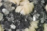 Cerussite Crystals with Bladed Barite on Galena - Morocco #165729-1